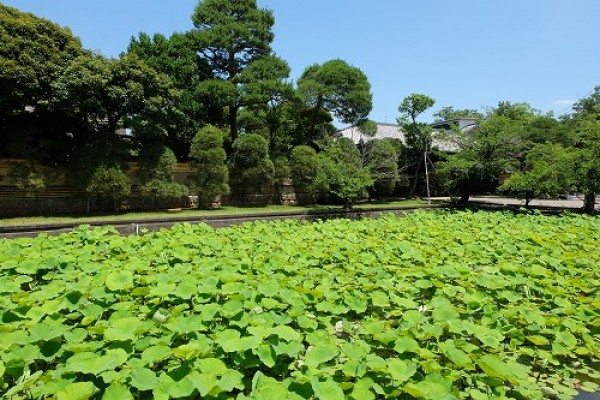 遠山記念館の旧遠山家住宅が重要文化財になります 埼玉県川島町サムネイル