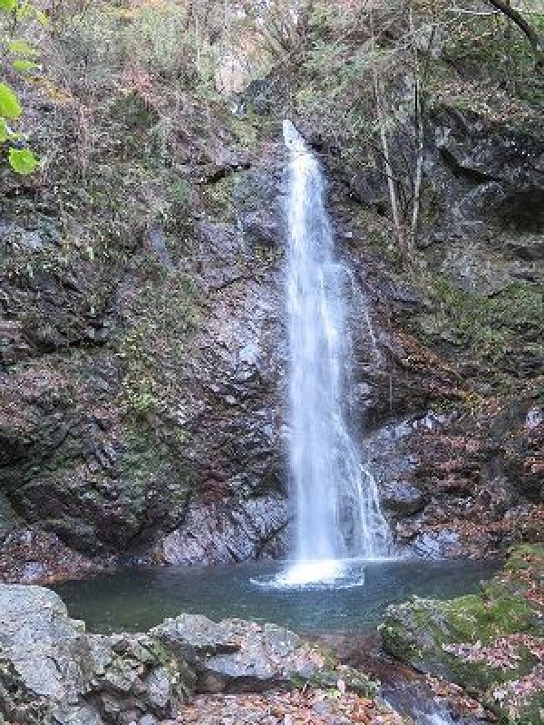 日本の滝100選 払沢の滝 東京都檜原村サムネイル