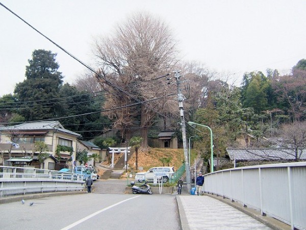 水神社(元妙見社) 東京都文京区サムネイル