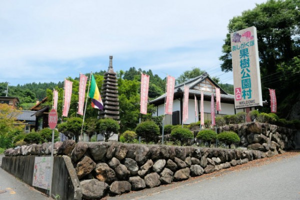 茂林寺と白髭神社  埼玉県横瀬町サムネイル
